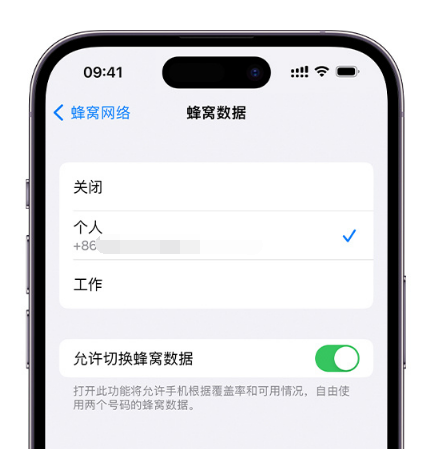 昌洒镇苹果维修服务分享如何在iPhone上使用双卡 