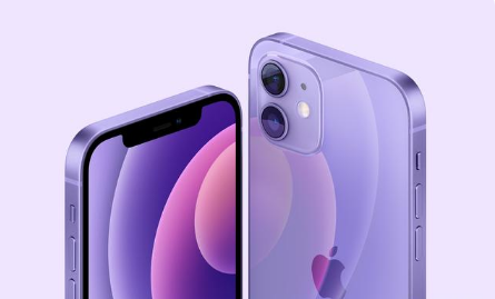 昌洒镇苹果手机维修分享紫色版iPhone 12有什么技术亮点 