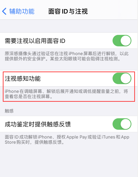 昌洒镇苹果手机维修分享iPhone 12 不会自动锁屏怎么办 