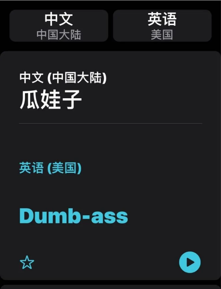 昌洒镇苹果手机维修分享iOS14的“翻译太懂了”怎么用 